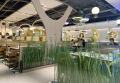 餐廳生意不好應該怎么辦，餐飲老兵的8條建議：其中有幾條餐飲人都踩過！